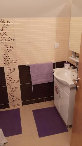 Kuchyň nebo kuchyňský kout v ubytování Apartman Sunčana dolina, Zaovine