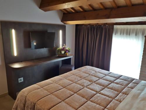a bedroom with a large bed and a television at Agriturismo Cabrele in Santorso