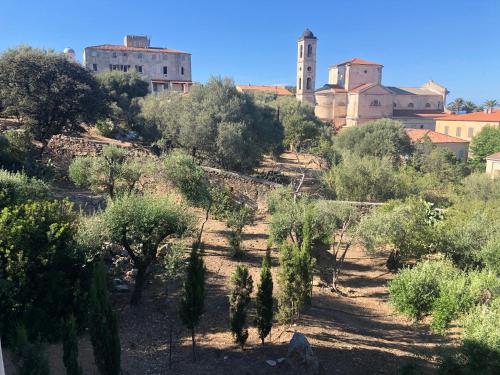 a group of trees and buildings on a hill at appartement climatise Classé 2 étoiles in LʼÎle-Rousse