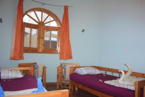 a room with two beds and a window at Dahabcastle in Dahab