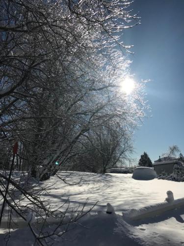 Auberge du Sault-à-la-Puce – Photos 3