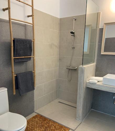 a bathroom with a shower and a toilet at Kalimera homes in Skopelos Town