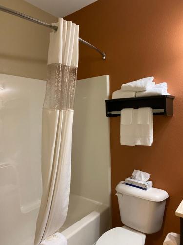 a bathroom with a shower curtain and a toilet at Suburban Studios Washington, PA in Washington