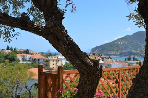 a view from the balcony of a house with a tree at Remvi Apartments in Skopelos Town