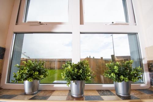 three potted plants sitting in front of a window at Beautiful Three Bedroom home in Bundoran in Bundoran