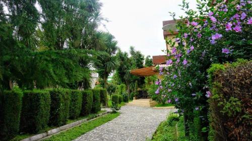 a garden with trees and purple flowers and a walkway at Dreamland Oasis of happiness in Chakvi