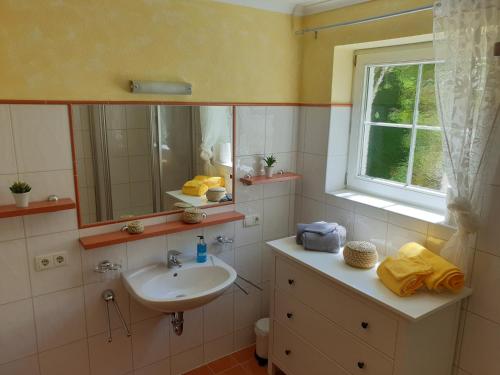 uma casa de banho com um lavatório e um espelho em Apart La Vita em Hainzenberg