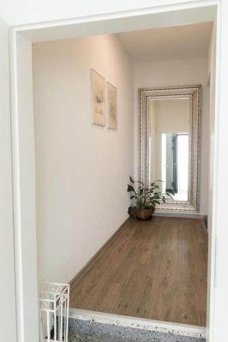 a hallway with a mirror and a plant at CityApartements FN2-FN4 KLIMATISIERT in Friedrichshafen