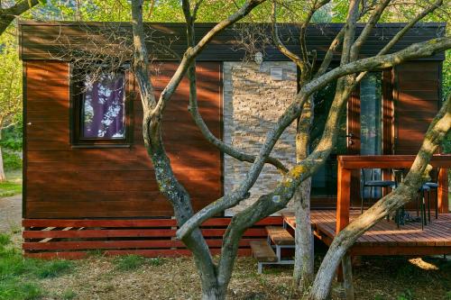 Fotografie z fotogalerie ubytování Mobile homes village "MUNGOS" Mljet v destinaci Babino Polje