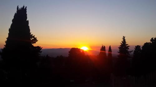 a sunset scene with trees and a sky background at Camping Village Panoramico Fiesole in Fiesole