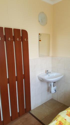 a bathroom with a sink and a mirror at База відпочинку "Тростян" in Slavske
