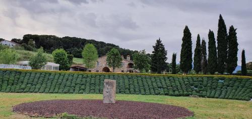 a statue in a field in front of a garden at Mas Segart in Santa María de Palautordera
