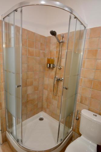 une douche avec une porte vitrée à côté des toilettes dans l'établissement Old Town Antibes Apartment, à Antibes