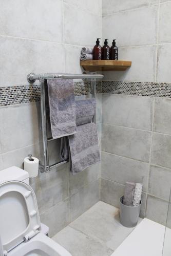 baño con aseo y toallas en un estante en Bryher Cottage, en Paul