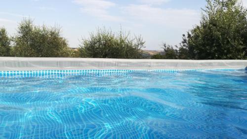 duży basen z niebieską wodą w obiekcie Sotto l'Ulivo w mieście Mondavio