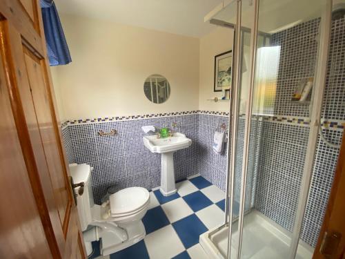 La salle de bains est pourvue de toilettes, d'un lavabo et d'une douche. dans l'établissement Grangeview House, à Grange