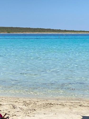 Φυσικό τοπίο κοντά σε αυτό το διαμέρισμα
