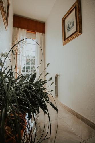Fotografie z fotogalerie ubytování Hotel A Veiga v destinaci Samos