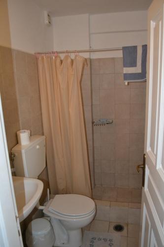 een kleine badkamer met een toilet en een douche bij Studio Ioanna Tinos in Kionia
