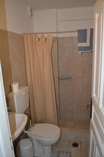 a small bathroom with a toilet and a shower at Studio Ioanna Tinos in Kionia