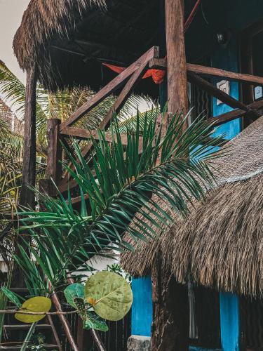 a leafy plant next to a straw hut at La Conchita Tulum in Tulum