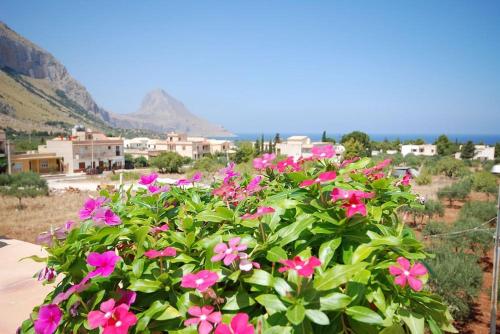 a bush of pink flowers with mountains in the background at Catarin Comfort Rooms in Castelluzzo