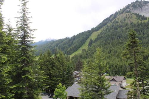 Gallery image of Crystal Chalets in Greenwater