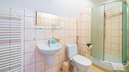 a bathroom with a toilet and a sink and a shower at Leśniczówka pod Śnieżką in Bukowiec