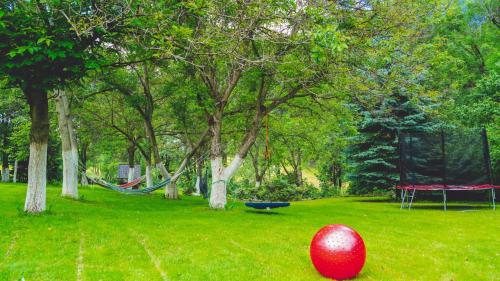 a red ball on the grass in a park with trees at Leśniczówka pod Śnieżką in Bukowiec