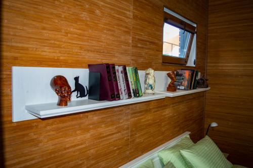 una mensola su un muro con libri e libri di FONTREY a Fontanka