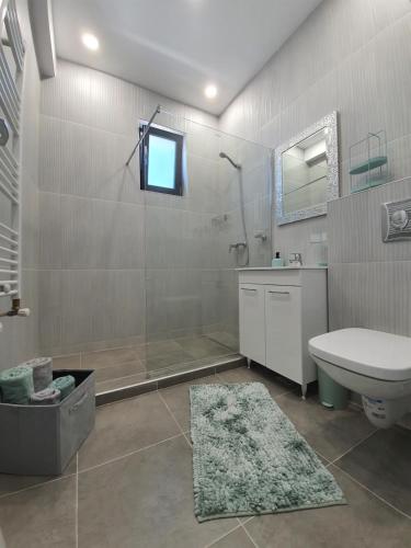 a bathroom with a shower and a toilet and a sink at Apartament Lux Eika in Mamaia Sat/Năvodari