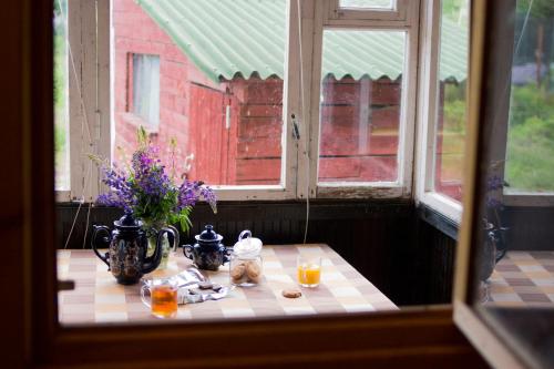 a table with a vase of flowers on a window at Summer mini cottage in Tsentral'nyy Poselok