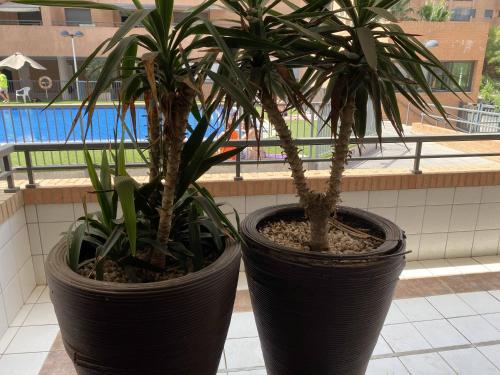 Appartement Playa Patacona Valencia (6camas)  (Spanje ...