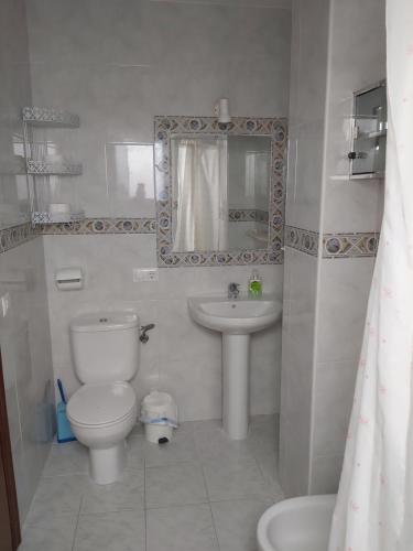 La salle de bains est pourvue de toilettes, d'un lavabo et d'un miroir. dans l'établissement Sol y playas, à Conil de la Frontera