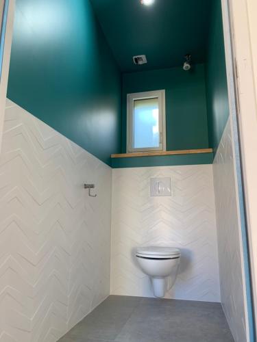 a bathroom with a toilet and a green ceiling at La Bellangerie Gîte et Spa in Forcé