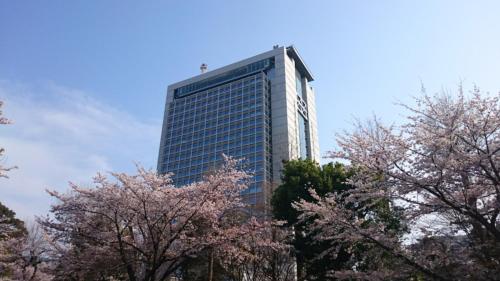 a tall building with pink trees in front of it at Court Hotel Mito in Mito