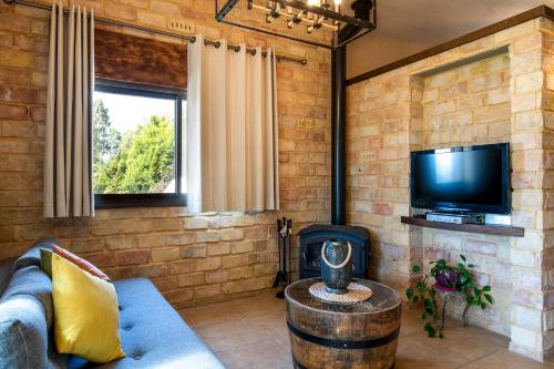 a living room with a couch and a tv and a fireplace at At Gil's and Galit's Place- Hospitality, Health and Spa in Bruchim Qela' Alon