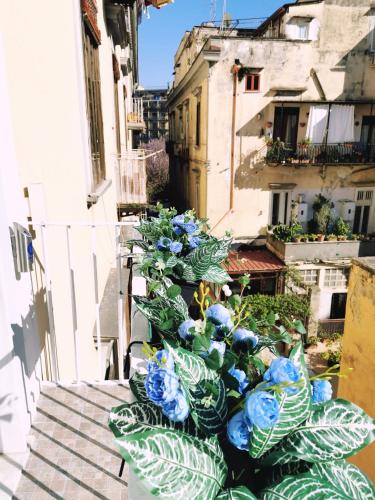 I Tesori di Napoli