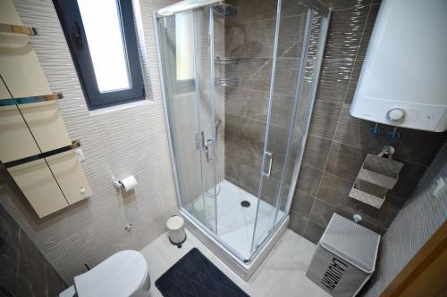 a bathroom with a glass shower and a toilet at Apartment Center Valley in Vila Pekovic Green in Zlatibor