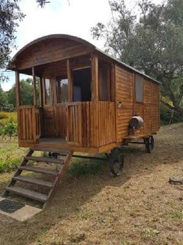 a wooden cabin with a ladder in a field at Quinta Portugo in Cernache do Bonjardim