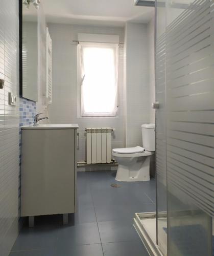 a bathroom with a toilet and a sink and a window at Living Pontevedra in Pontevedra