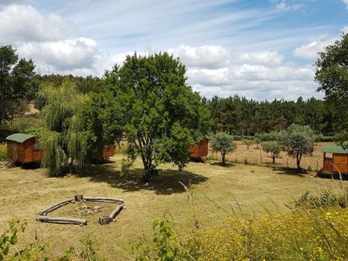 un campo con una vieja manguera en la hierba en Quinta Portugo, en Cernache do Bonjardim