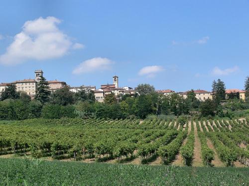 a field of vines with a building in the background at Benvenuti Altrove in Cella Monte