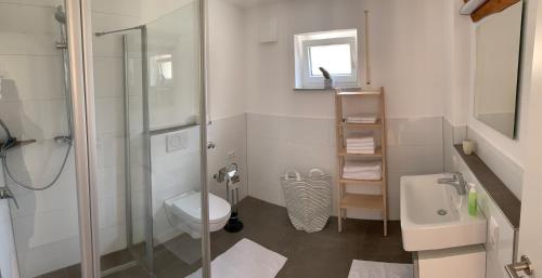 een badkamer met een douche, een toilet en een wastafel bij Ferienwohnung Zum Hohlenstein in Deggenhausertal