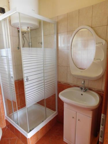 a bathroom with a shower and a sink and a mirror at Balatonpart-lak in Balatonfenyves