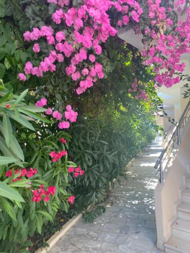 Taman di luar Balito