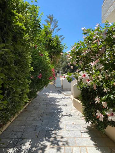 Balito tesisinin dışında bir bahçe