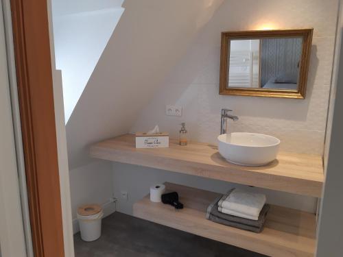 La salle de bains est pourvue d'un lavabo et d'un miroir sur une étagère. dans l'établissement Margot - hyper centre Colmar, à Colmar
