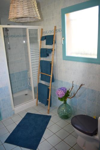 a bathroom with a shower and a toilet and a ladder at CB HOME in Audenge