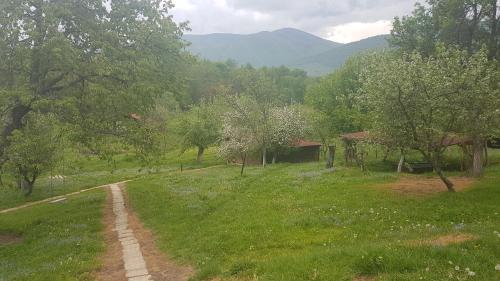 Gallery image of Camping Zamolxe in Sarmizegetusa